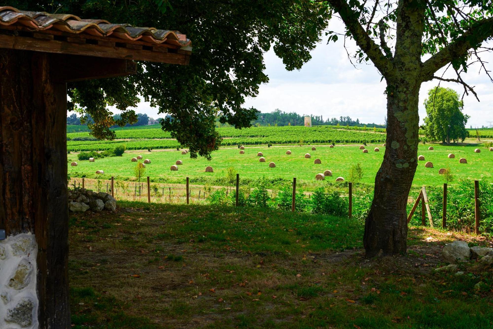ホテル Fantastic Petit Beauval Saint-Sulpice-et-Cameyrac エクステリア 写真